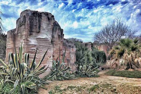 Il giardino dell'Impossibile a Favignana: l'orto botanico .